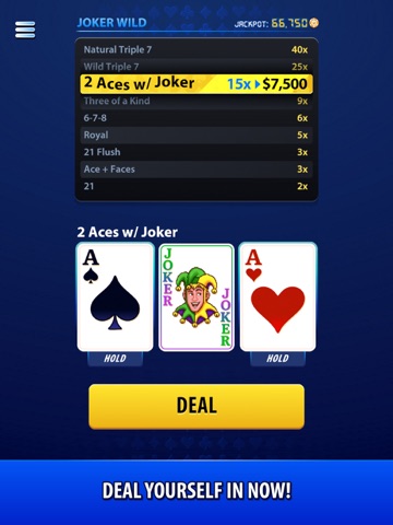 Blackjack Hold - Video Poker iPad screenshot