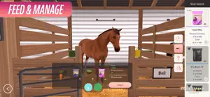 Equestrian the Game screenshot #5 for iPhone