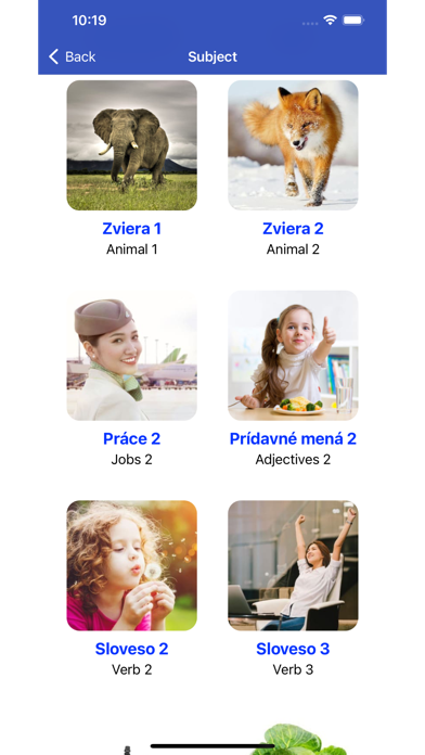 Learn Slovak Vocabulary Screenshot