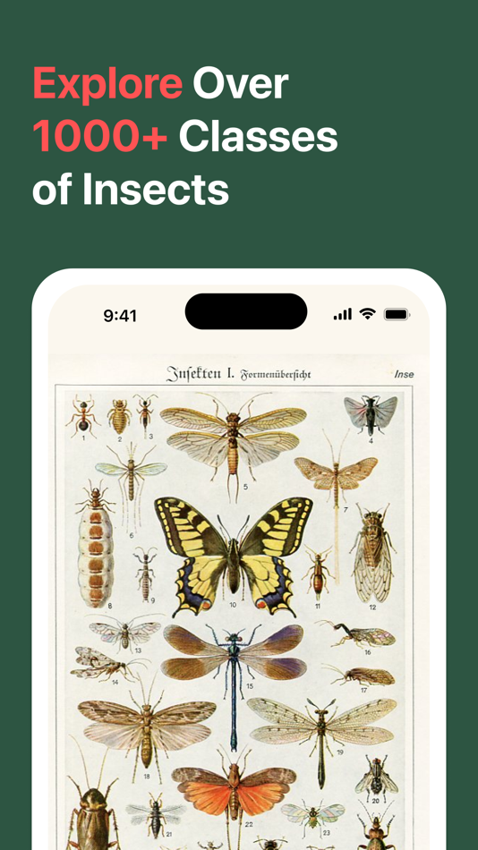 #4. AI Insect Identifier: BugBug (iOS) 由: Sirozh Tursunov