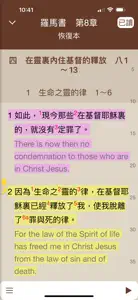 電子聖經（恢復本） screenshot #5 for iPhone