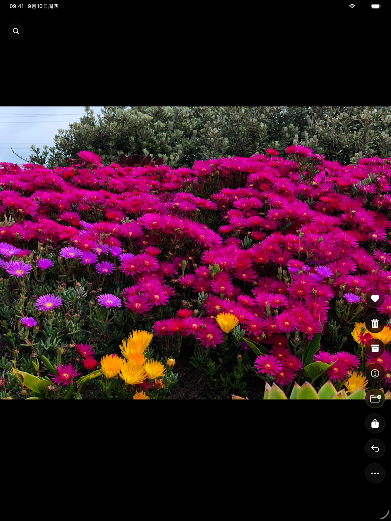 Screenshot 9 of MomentFold