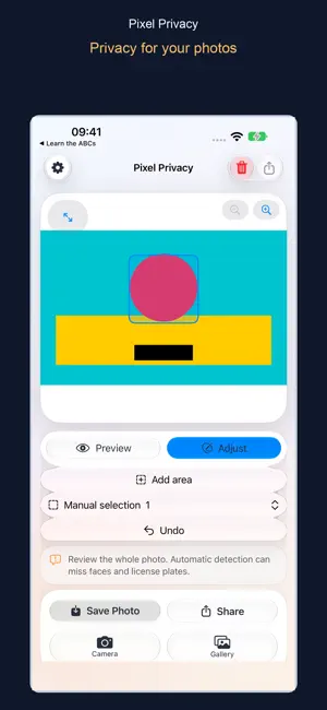 Pixel Privacy screenshot 1