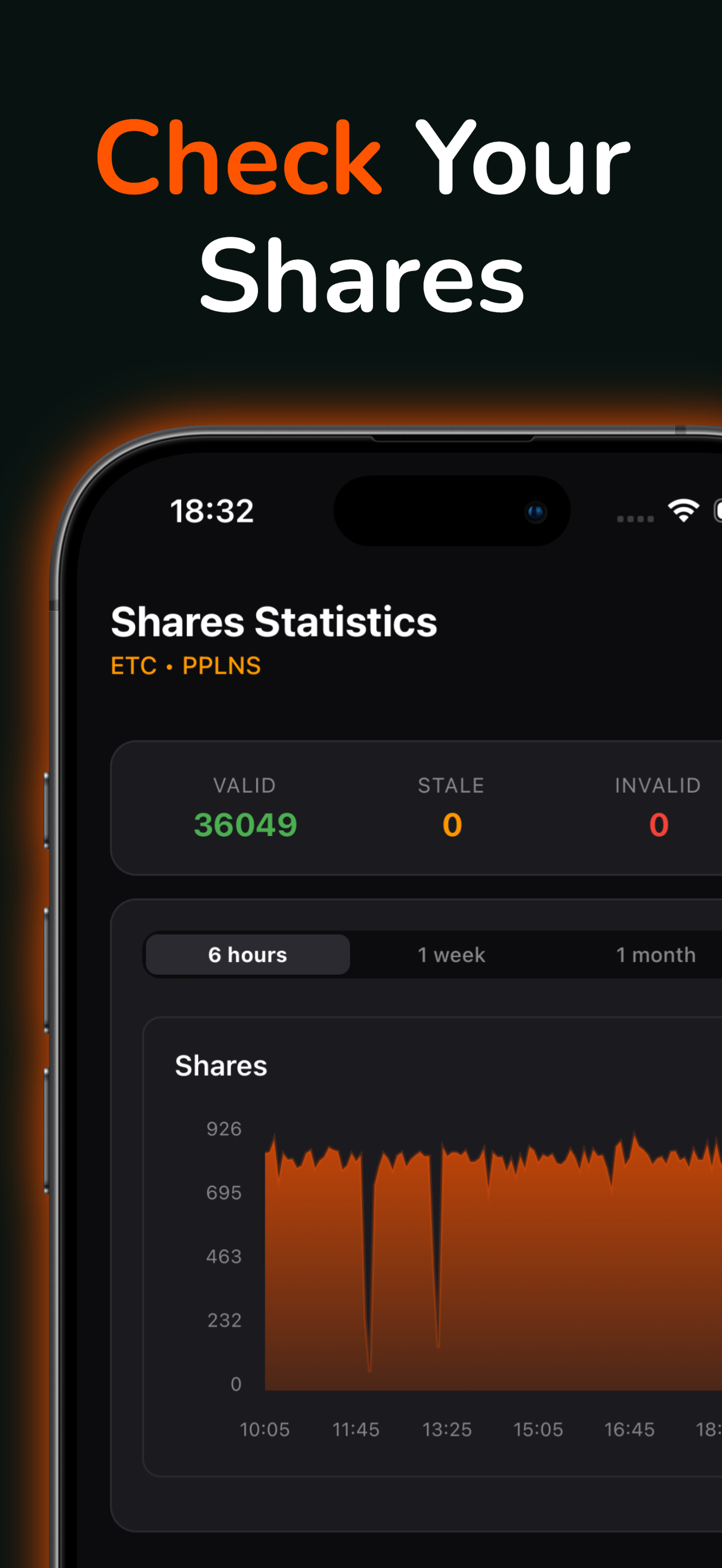 2Miners Stats screenshot 3