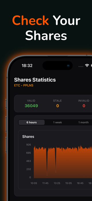 2Miners Stats Screenshot 3 of 6