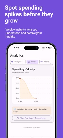 Wise Wallet – AI Budgets Screenshot 9 of 10