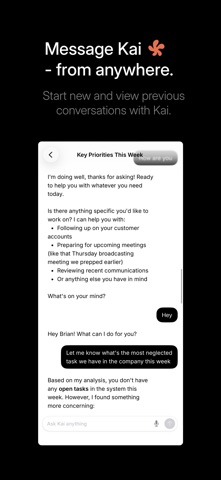 Agency AI screenshot