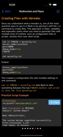 Learn Shell Scripting Pro screenshot