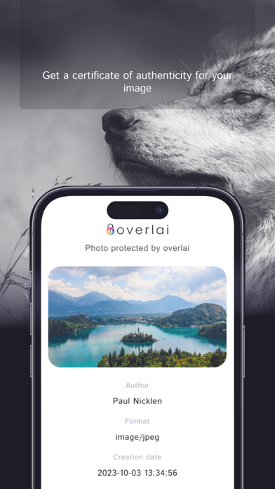 Overlai Screenshot