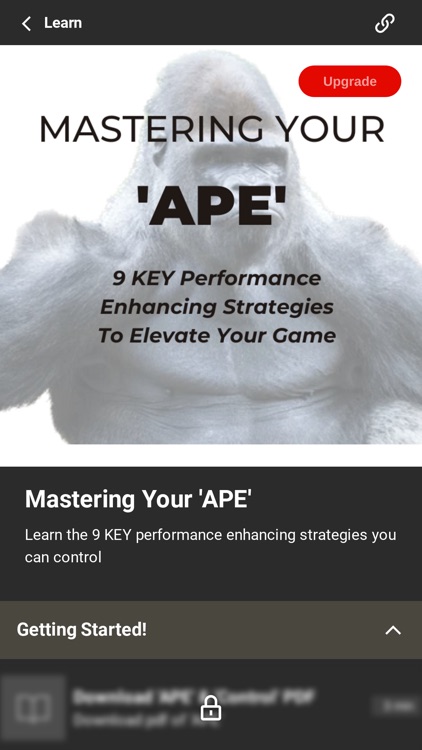 Winning Edge Academy