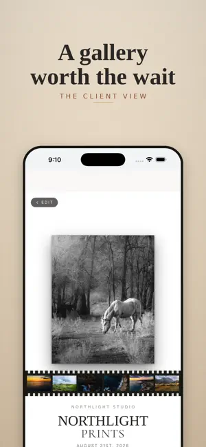Honeyfell: Photographer CRM screenshot 2