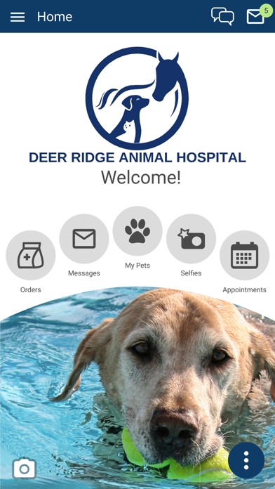 Deer Ridge Animal Hospital iPhone screenshot 1 - Business app