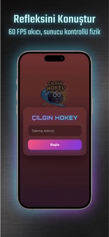 Çılgın Hockey screenshot 3