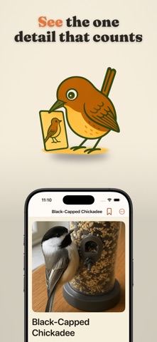 Wrenly: Bird Identifier iPhone screenshot