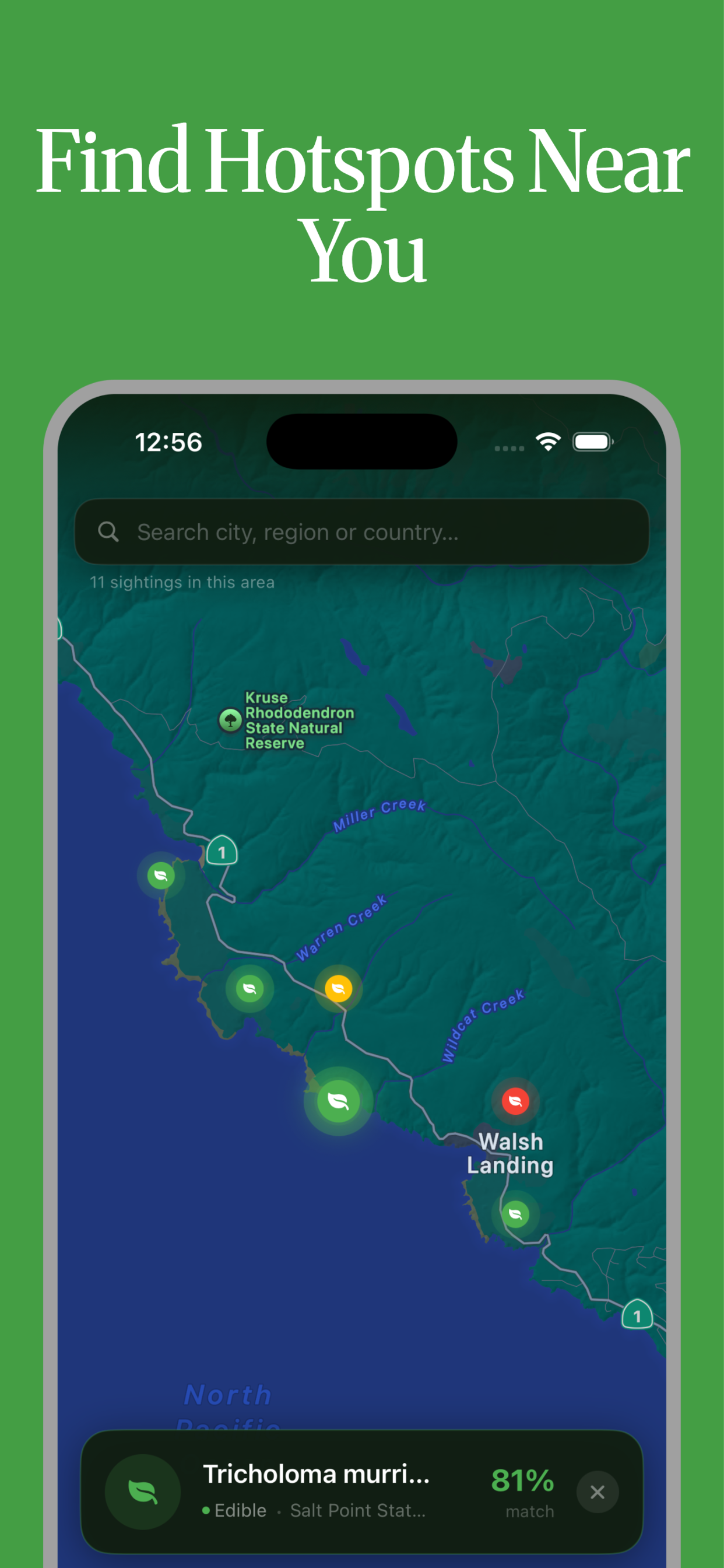Sporely: Fungi & Mushroom ID screenshot 2