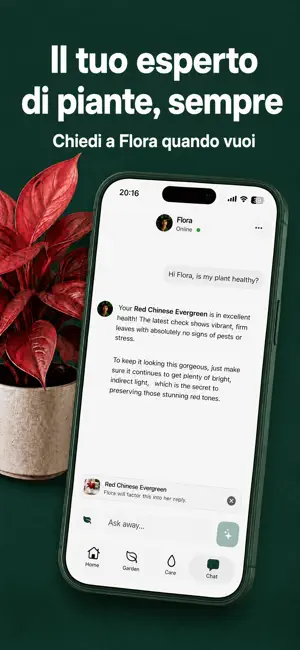 Arbori – Identifica le piante iPhone screenshot 6