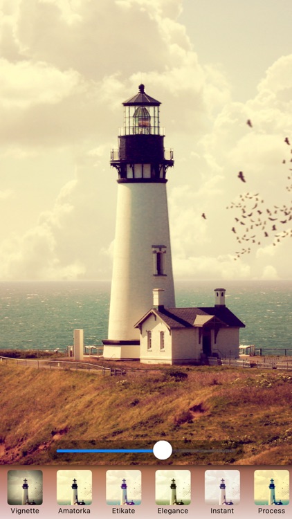 VintageVibe - Classic Filters