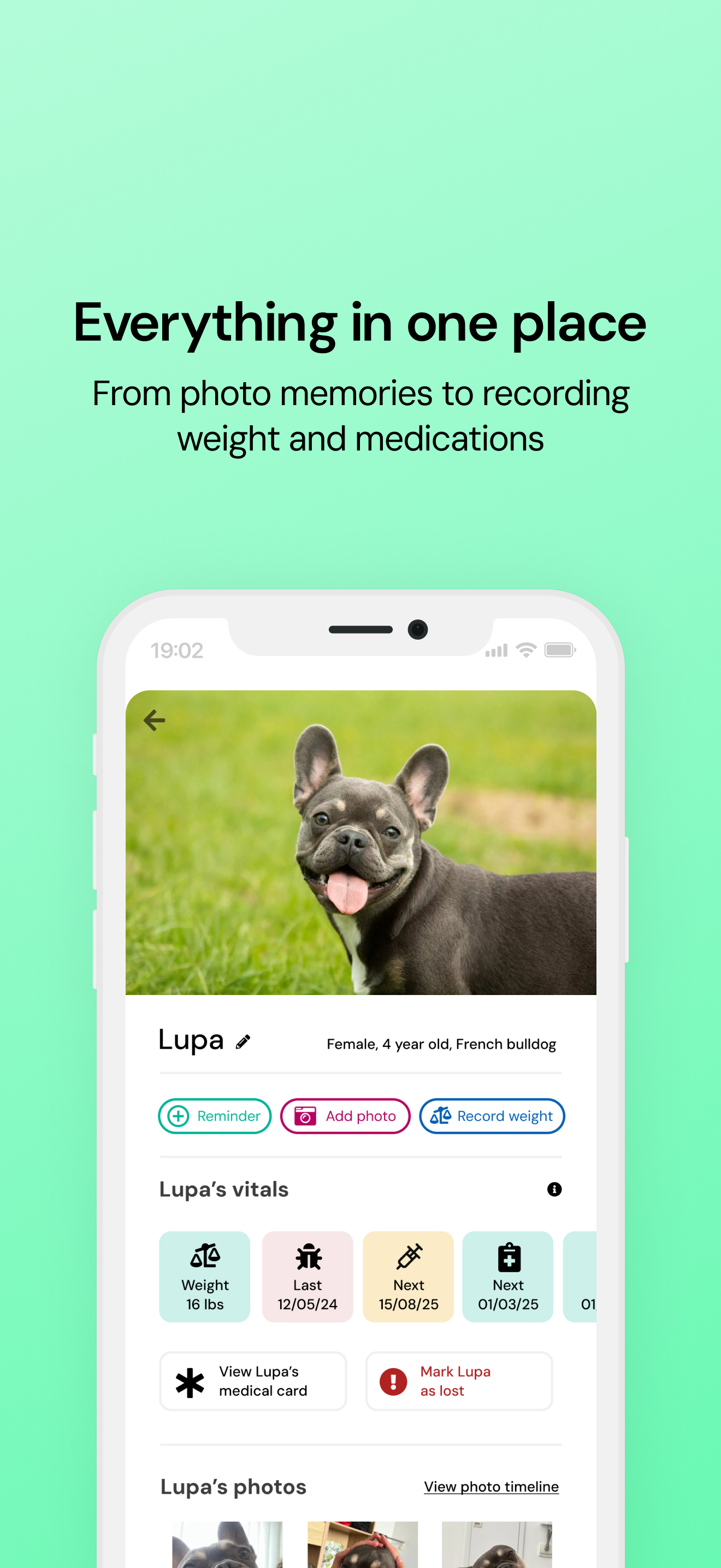 Boomerang Pet screenshot 2