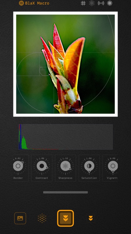 BlaX Macro Camera screenshot-7