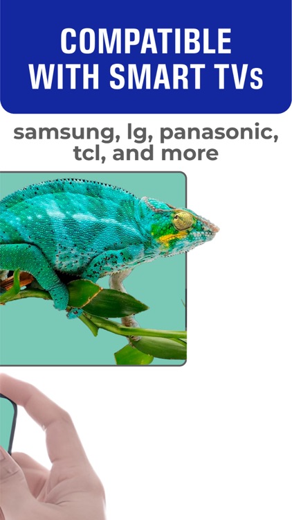 SMART VIEW: TV Web Video Cast