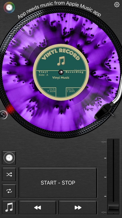 Vinyl Record Screenshot