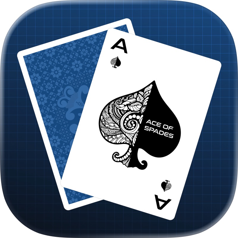 Fun Bridge screenshot 12