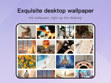 Top Widgets⁺ Icons & Themes iPad screenshot