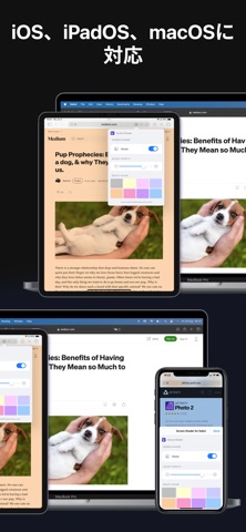 Screen Shader for Safari のスクリーンショット