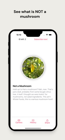 Mushroom Identifier: Guidebook Screenshot 1 of 7