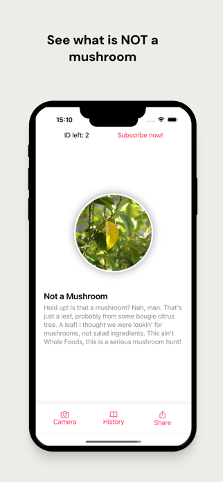 Mushroom Identifier: Guidebook Screenshot 1 of 7