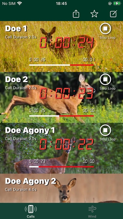 Roe Deer Calls +