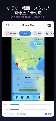 mosaicplus screenshot