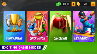 Pakistani Cricket League Game Screenshot