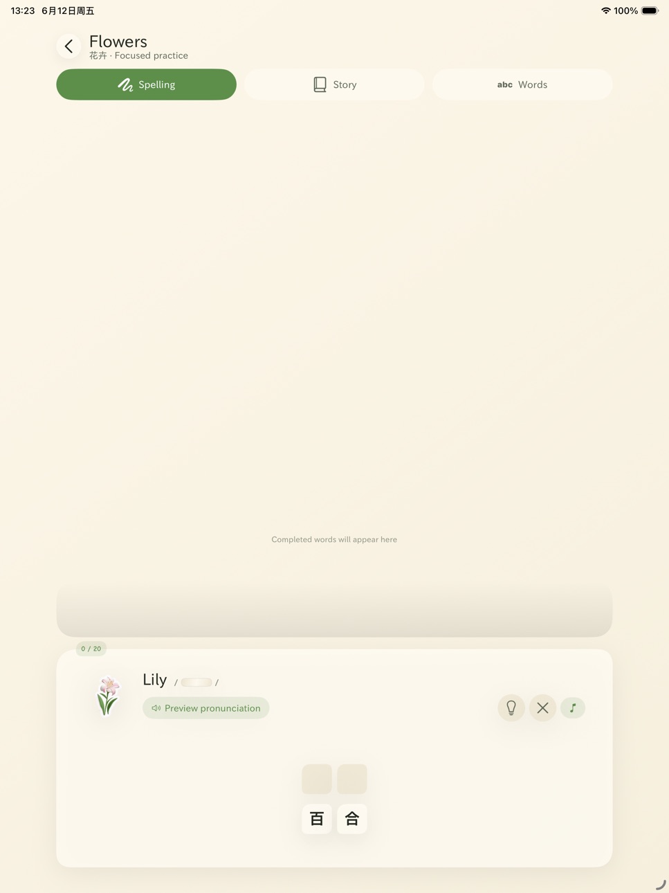 iPad screenshot