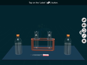 Double Displacement - EduTech iPad screenshot