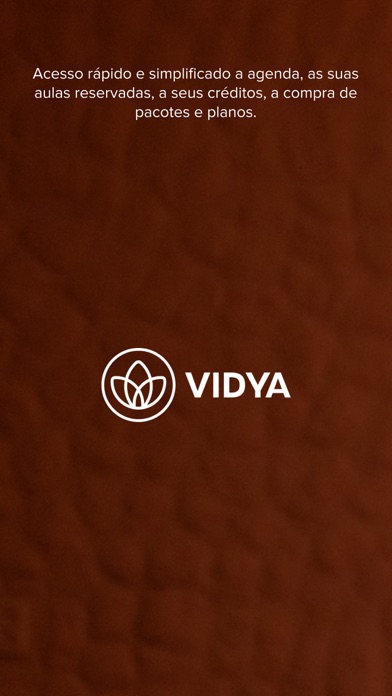 Vidya studio Screenshot