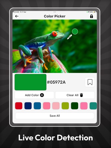 Color Grab (color detection) iPad screenshot