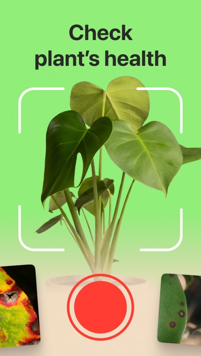 Plant Disease Identifier Pro Screenshot