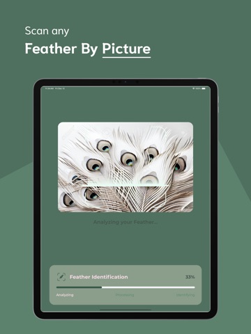 Feather Identifier - FI iPad screenshot