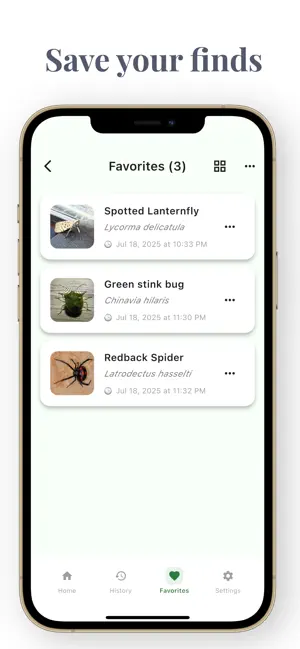 Insect Bug Identifier: Bug ID screenshot 3