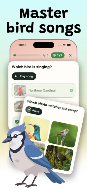 Syrinx: Learn Bird Songs screenshot 2