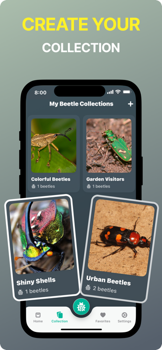 Bug Identifier - BugScope Screenshot 6 of 6