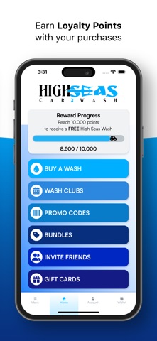 High Seas Carwash iPhone screenshot