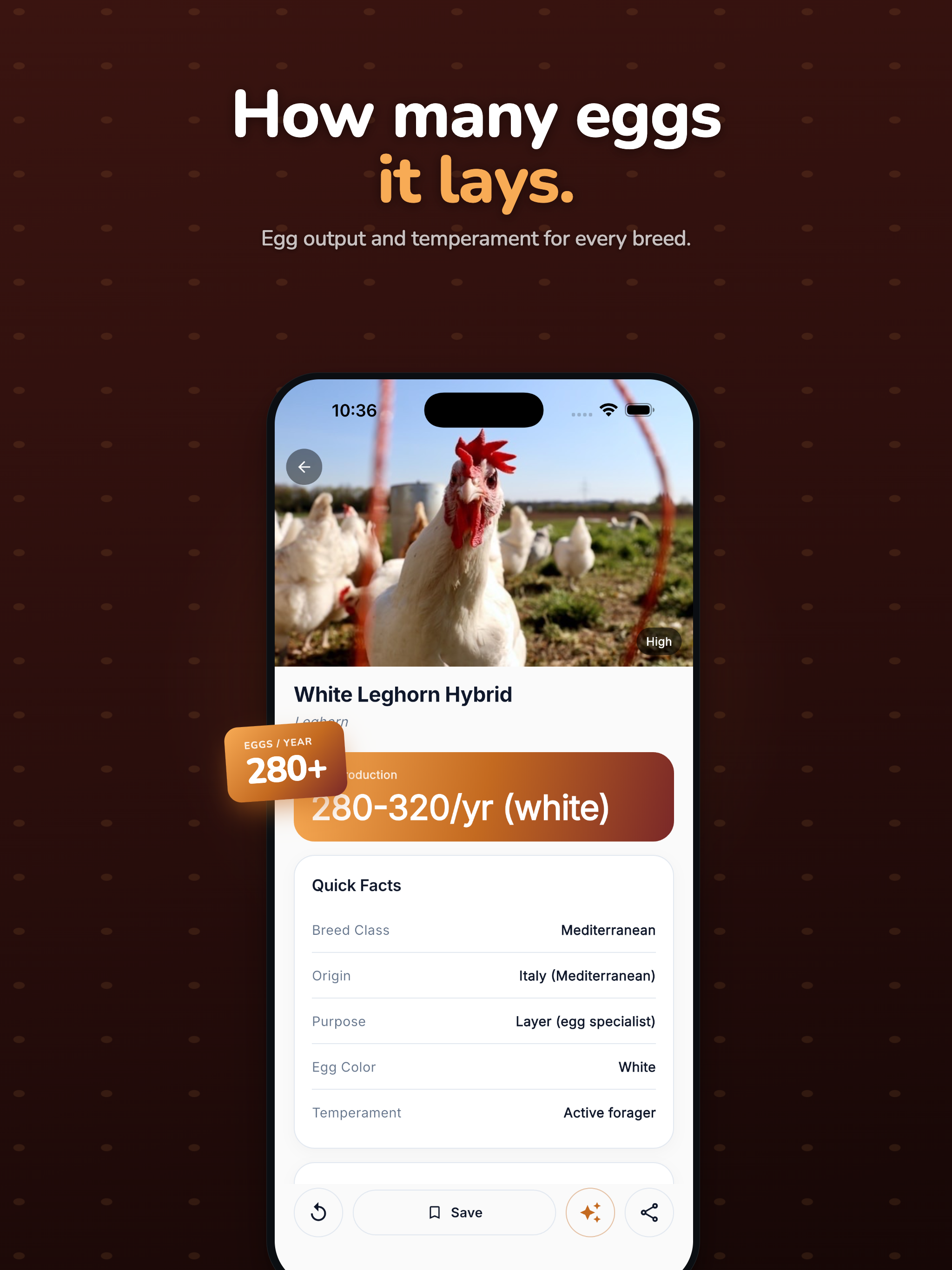Chicken Identifier: Breed ID screenshot 9