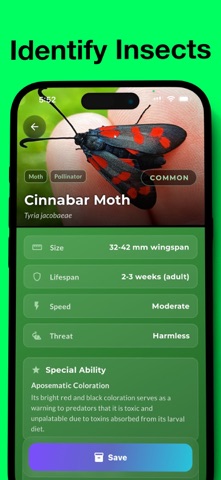 Bug Identifier : WhatTheBug? Screenshot 2 of 3