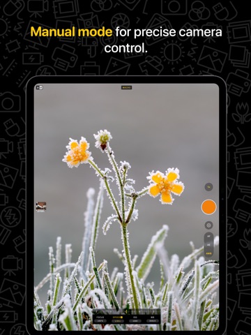 Hydra › Pro Camera, RAW + AI iPad screenshot