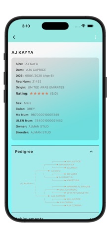 Ajman Stud screenshot
