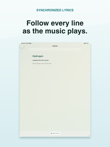 OneMusic: Offline Player iPad screenshot
