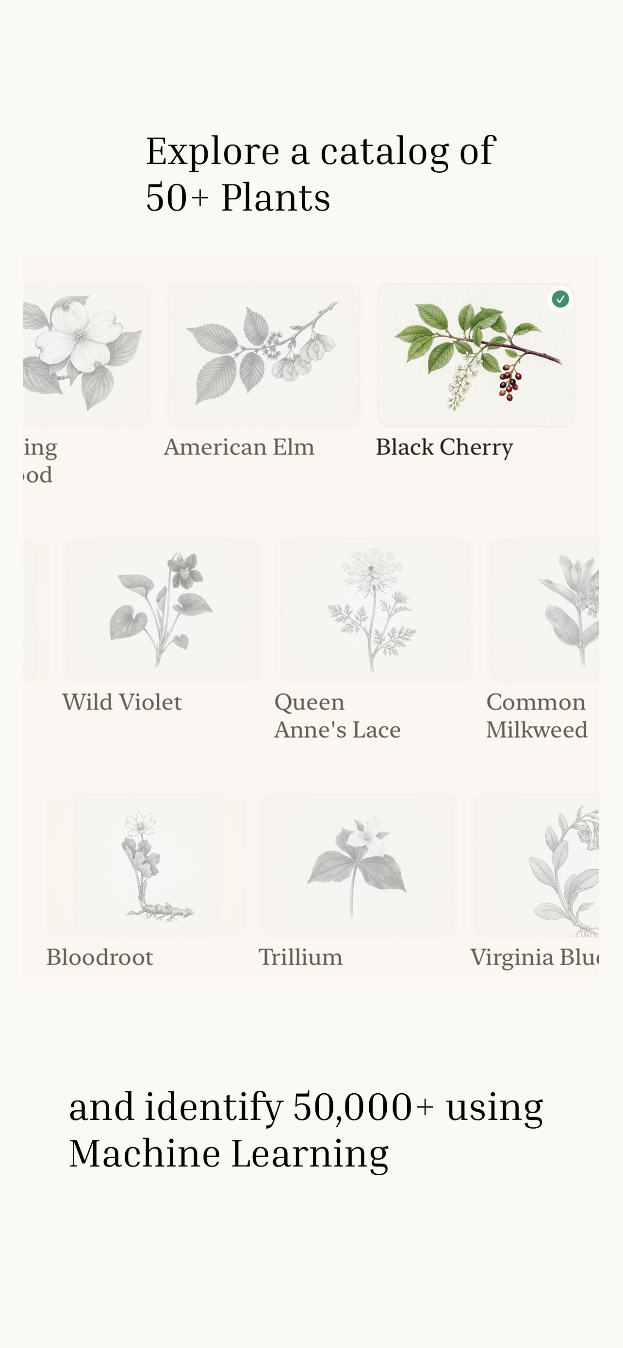 Fieldnote - Plant Journal