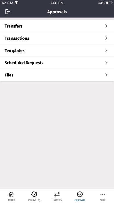 Dallas Capital Bank Business Screenshot